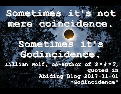 Sometimes it's not mere coincidence. Sometimes it's Godincidence. #Coincidence #GodsPlan #LillianWolf #AbidingBlog2017Godincidence